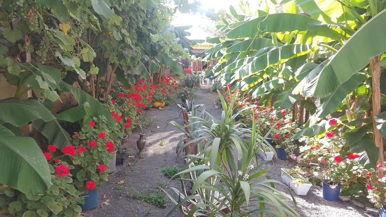 Guest House Cico Τελάβι Εξωτερικό φωτογραφία
